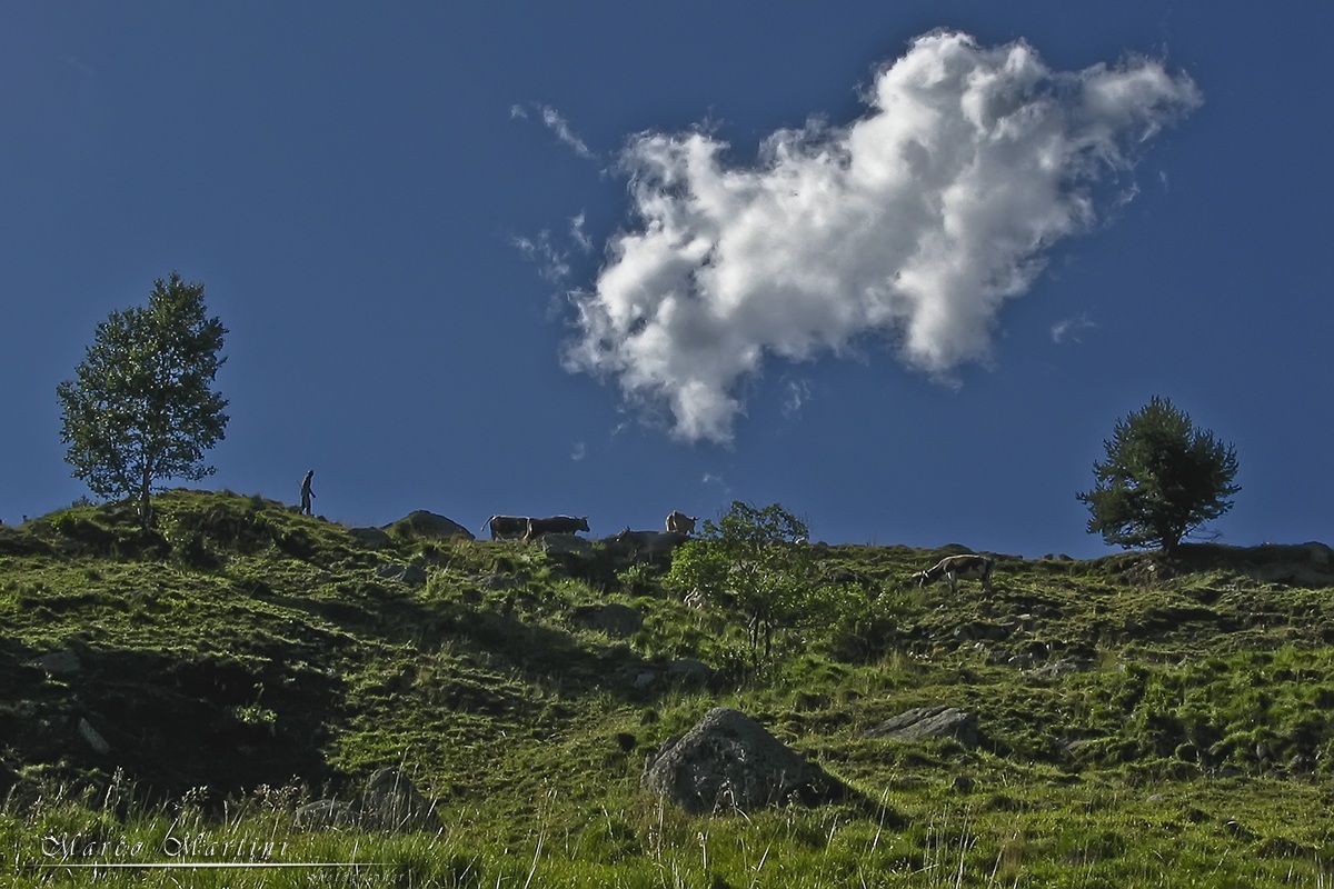 La solennità della natura