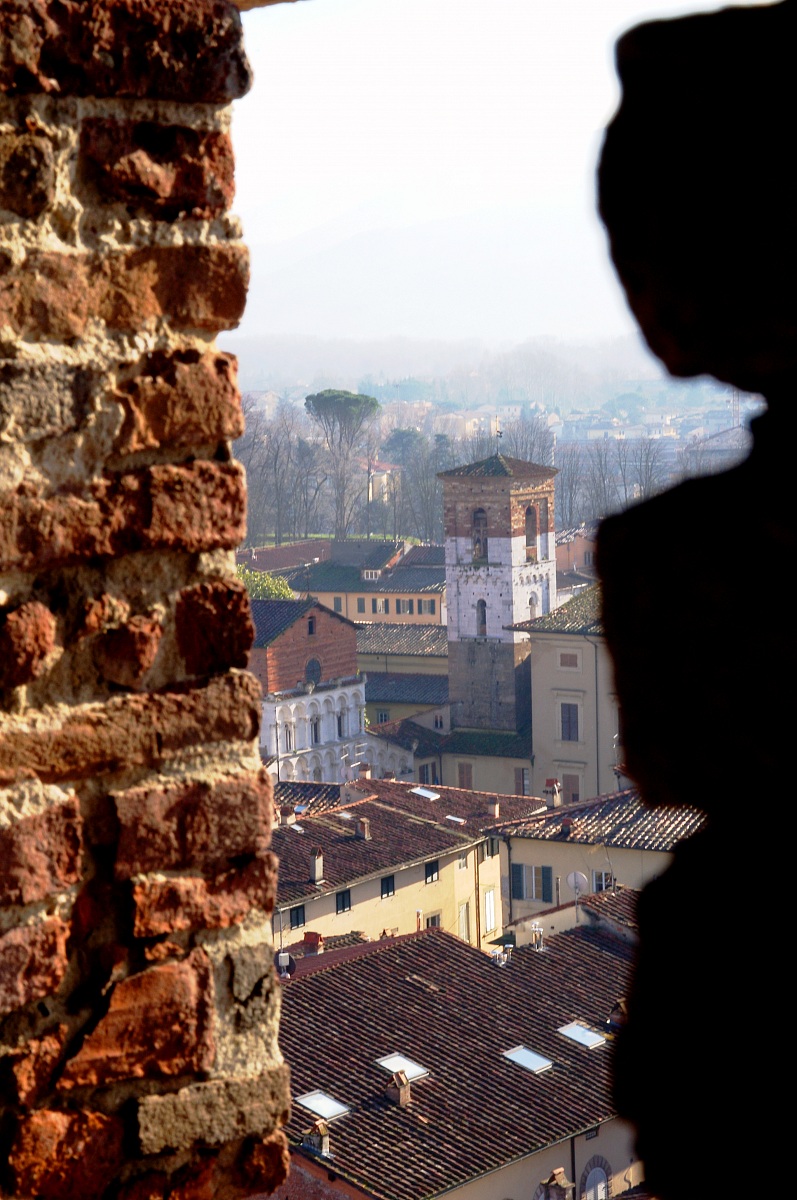 Lucca Cathedral view from the tower