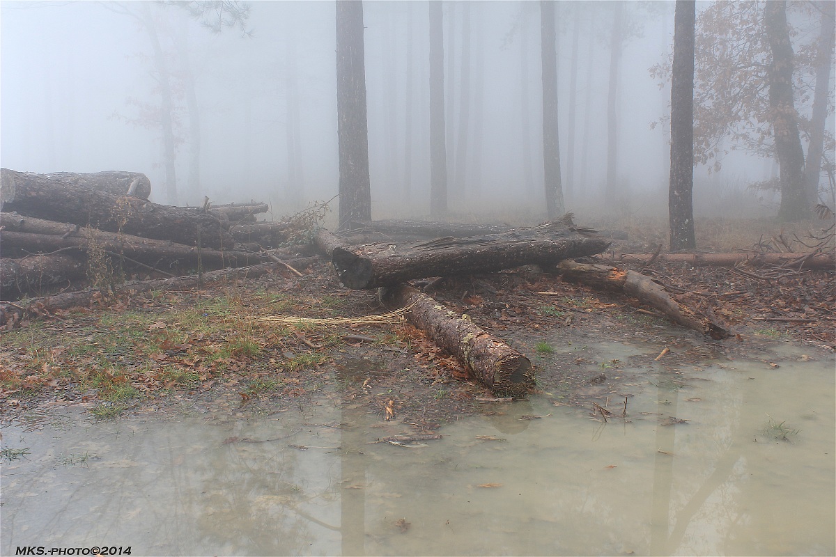 Nebbia sul Pratomagno (ar)