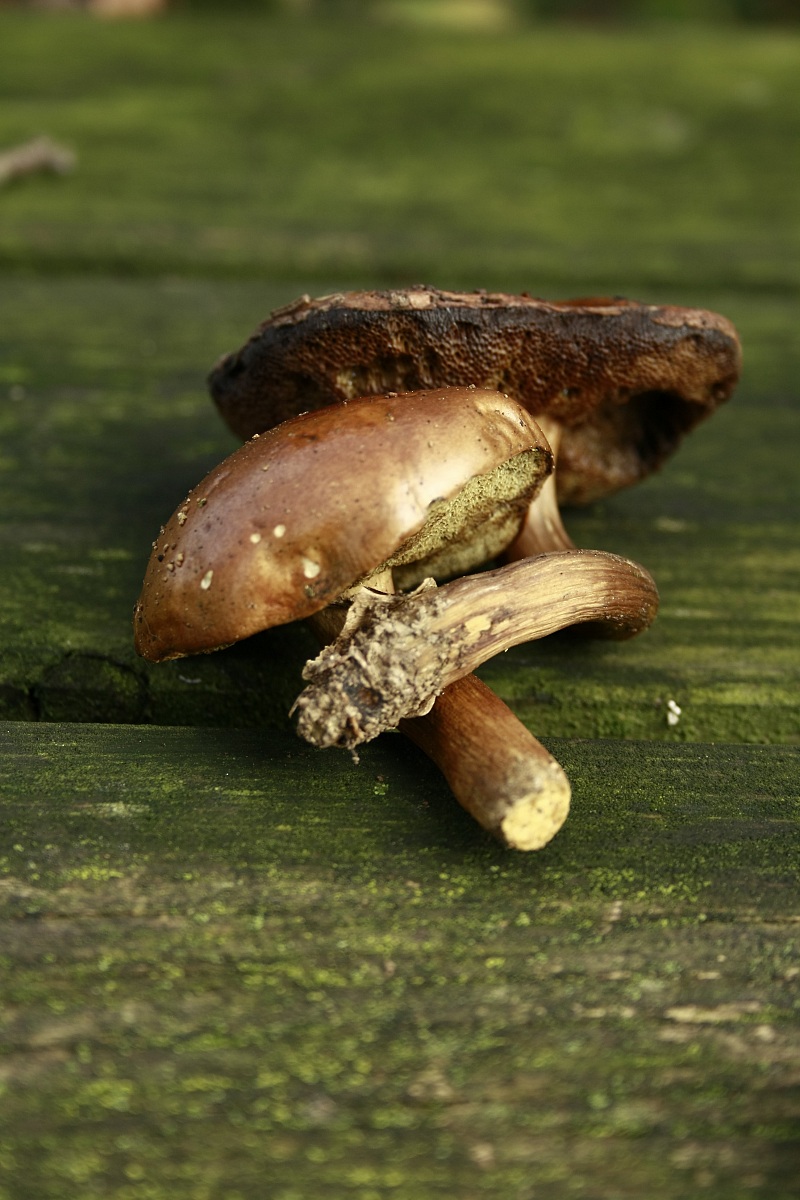 close to many att neighbors