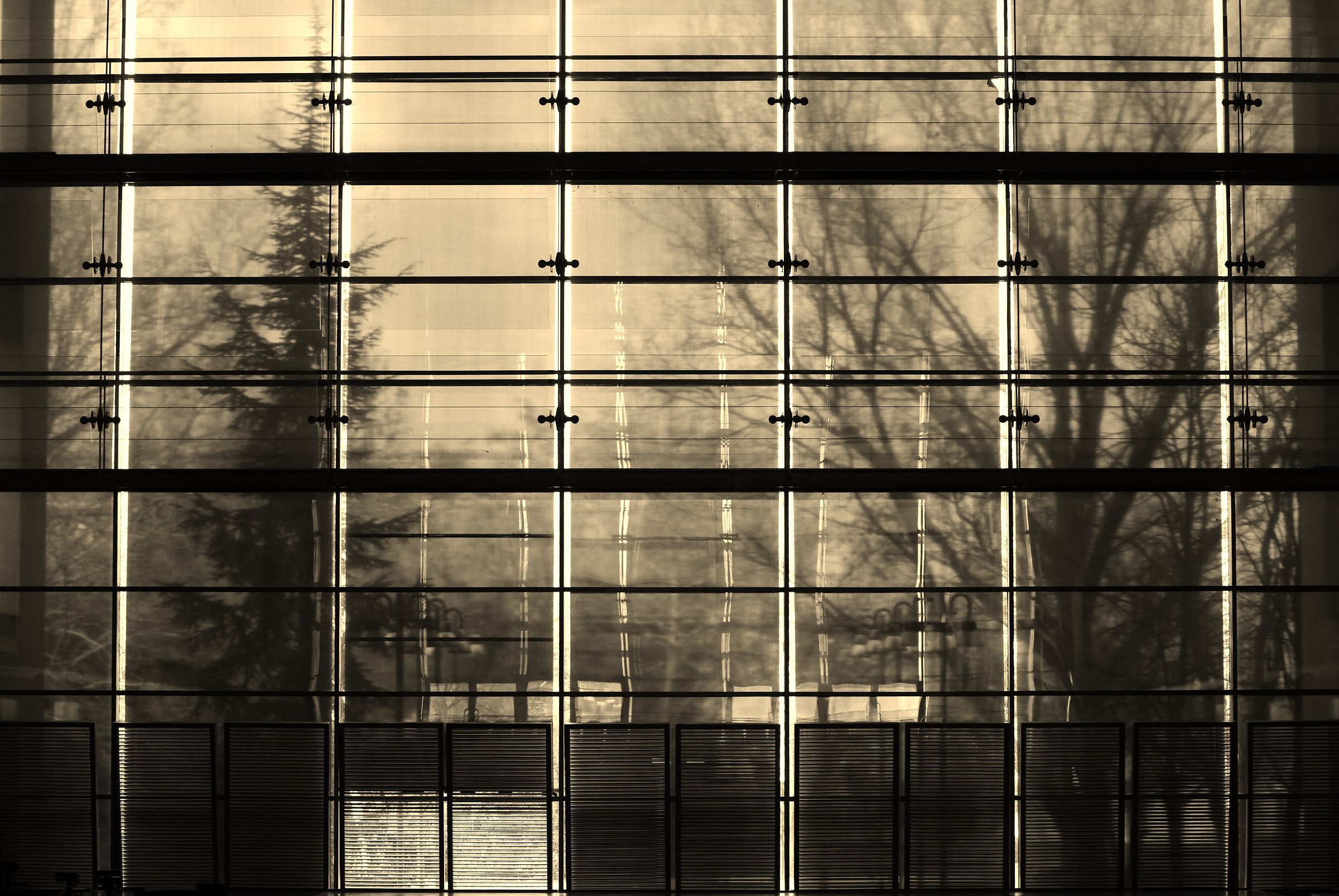 Oltre la vetrata,,,,