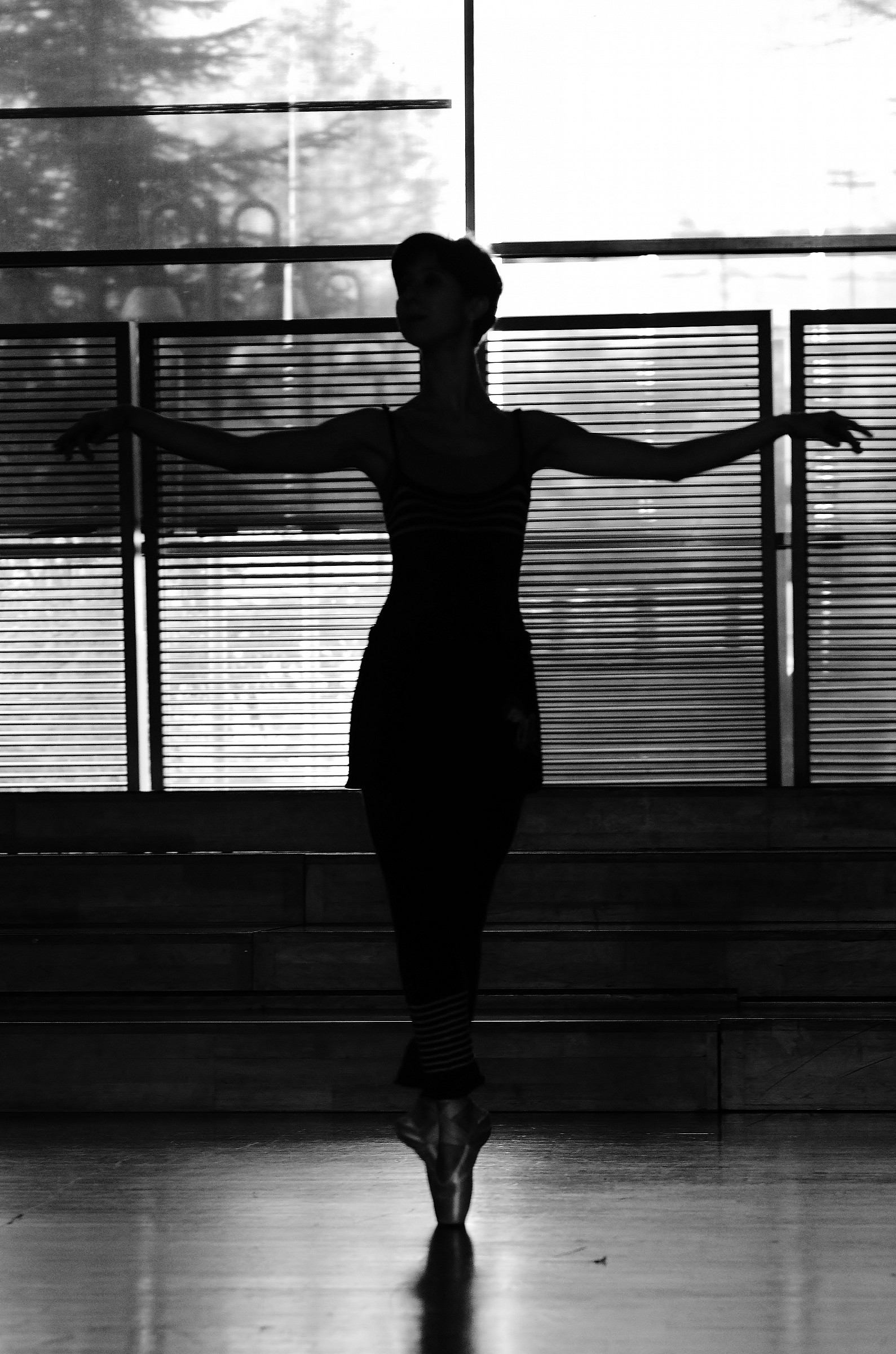 Eleganza.......in punta di piedi