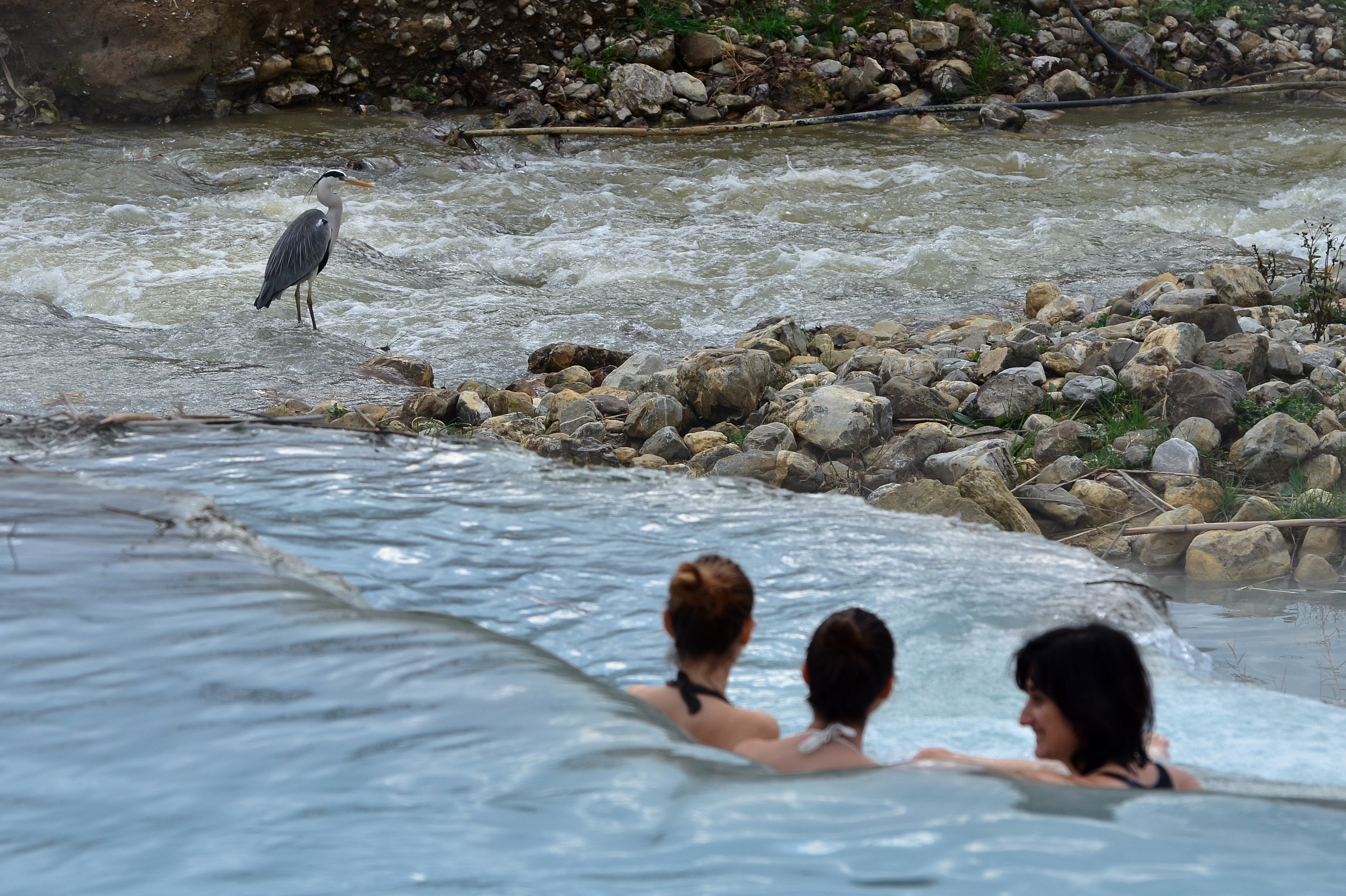 A Saturnia con il cenerino