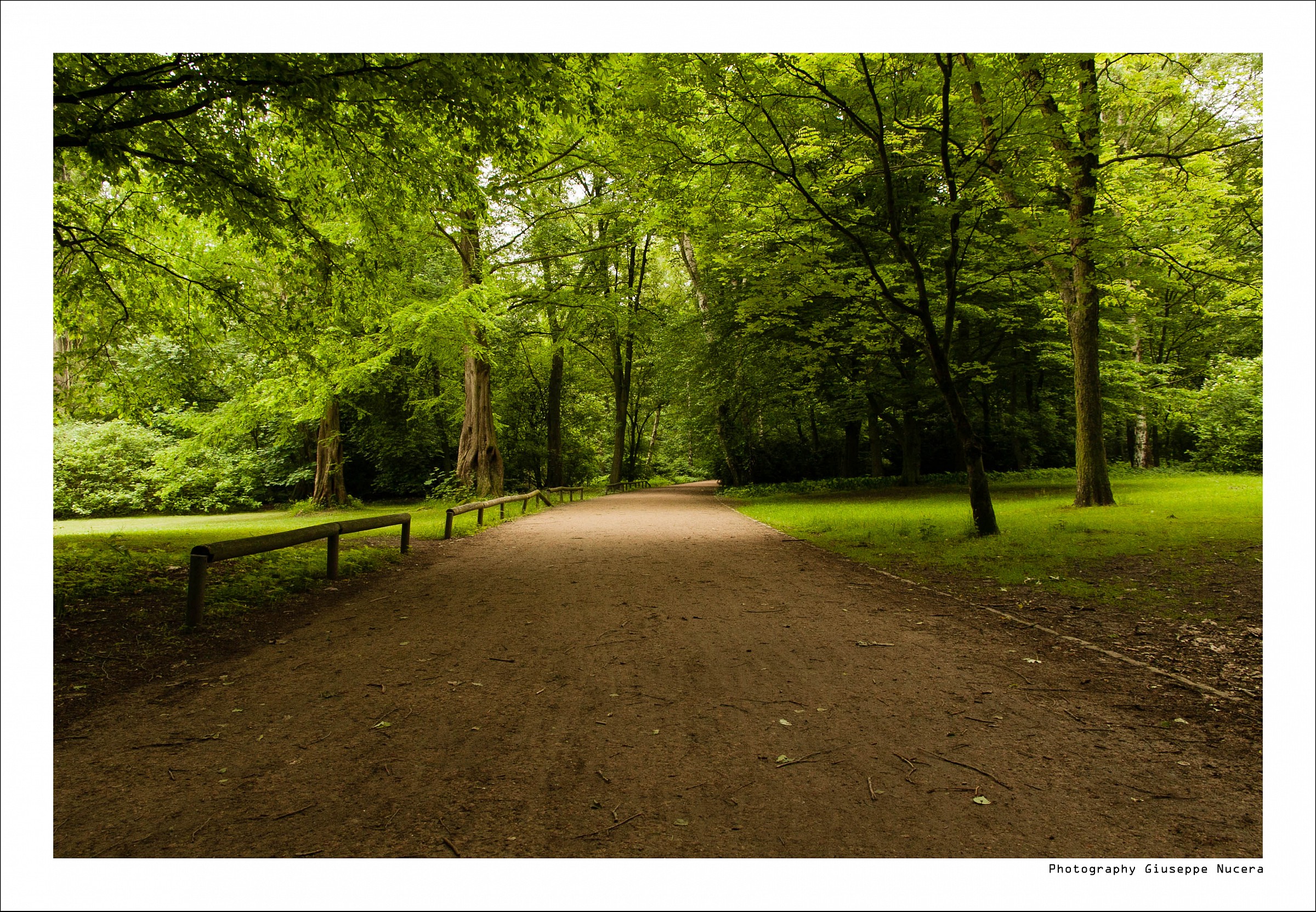 Berlin - Tiergarten park