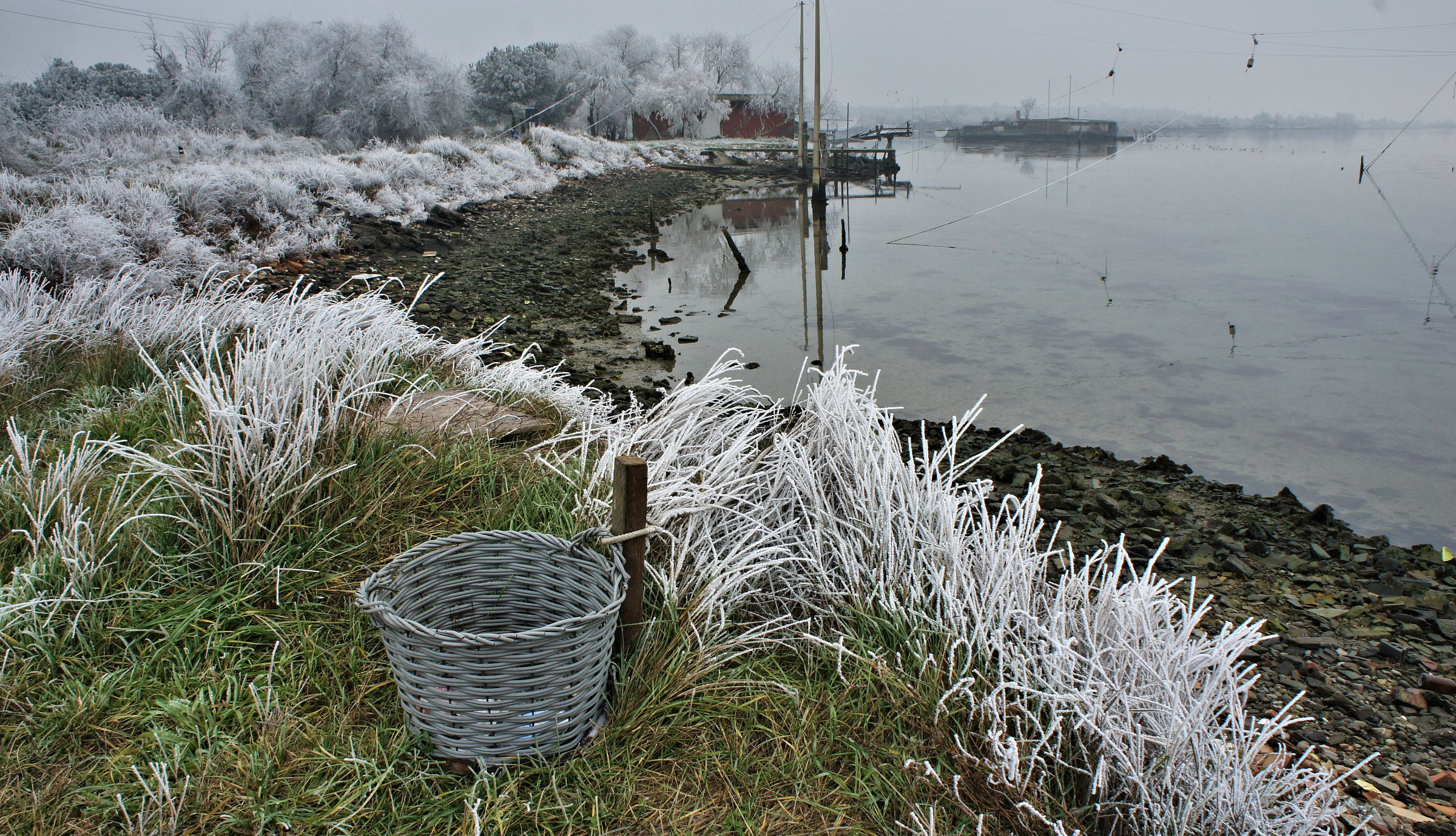 Il cestino-Ecologia privata-