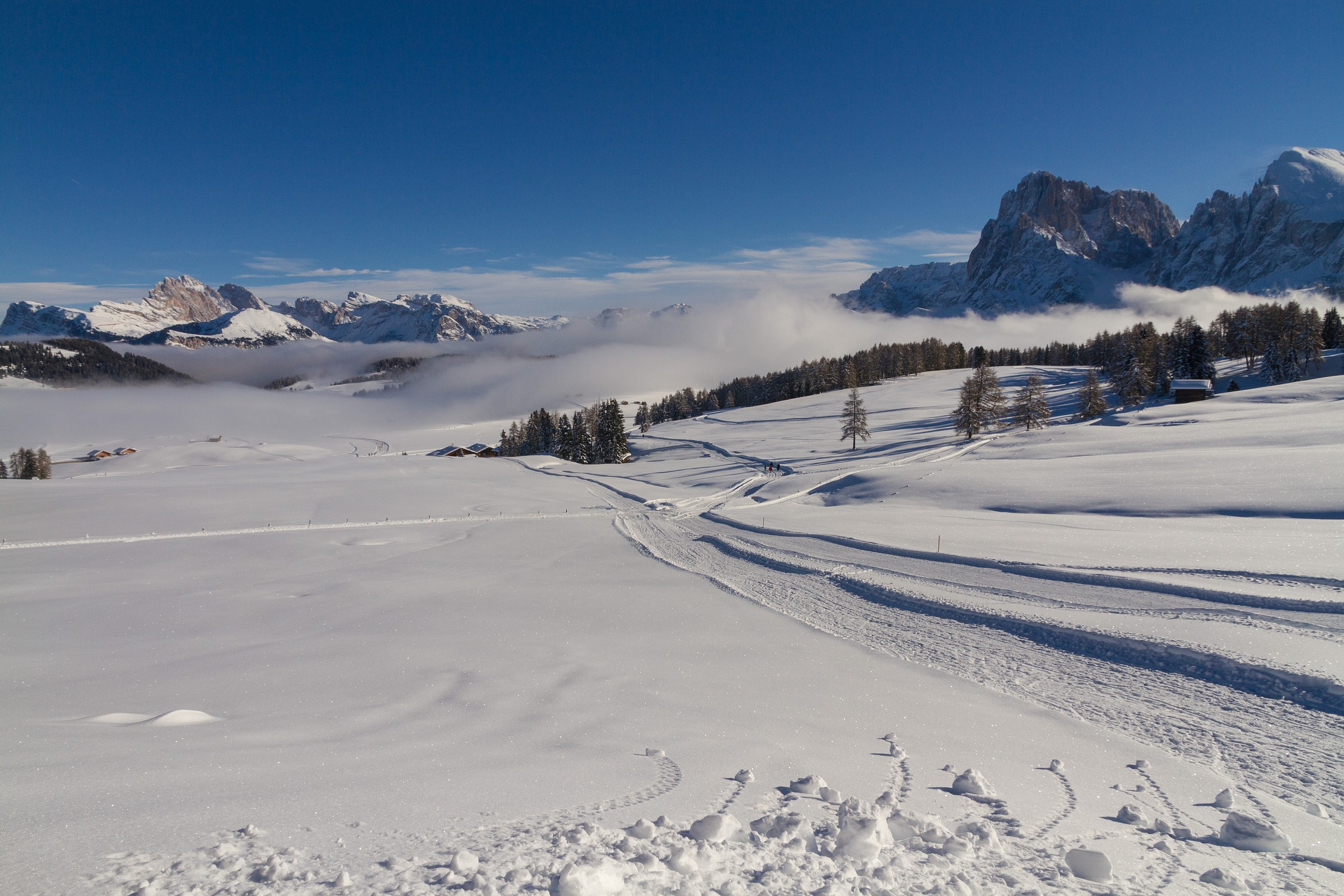 Alpe di Siusi