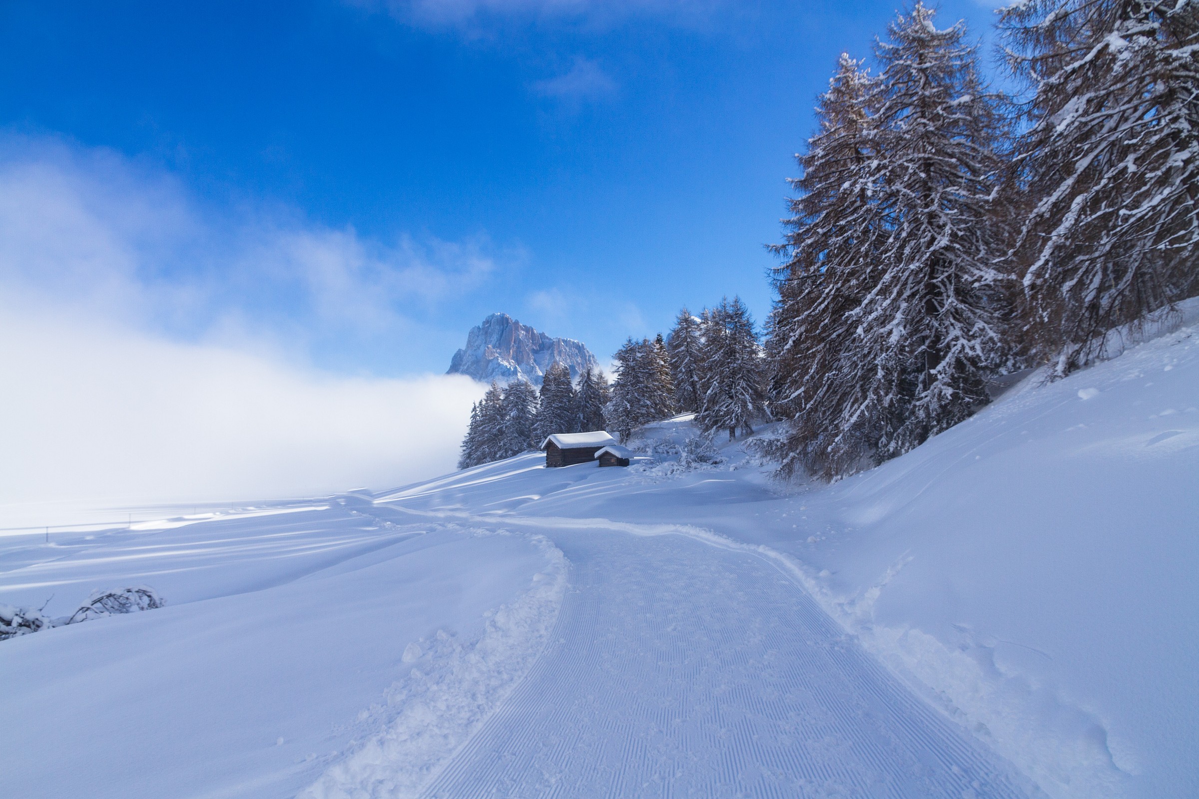 Passeggiata invernale