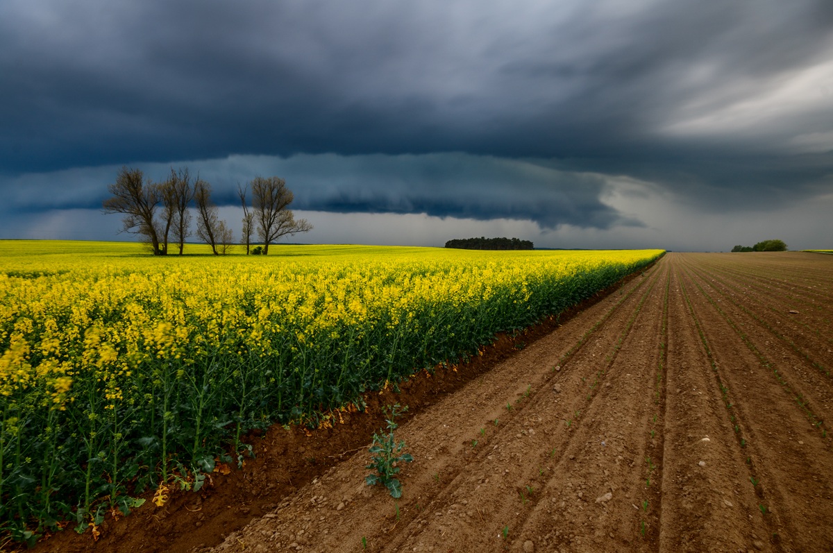 tempesta sopra i campi