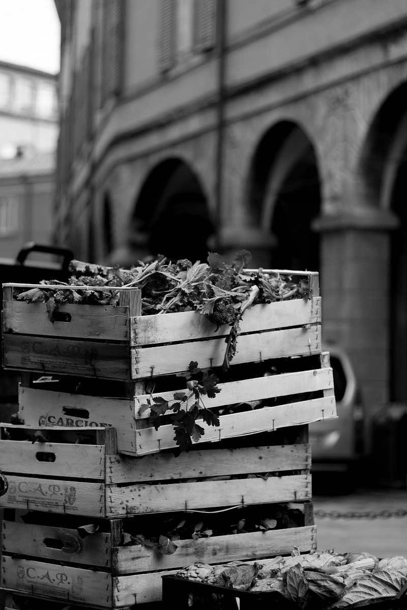 Market Albinelli of Modena