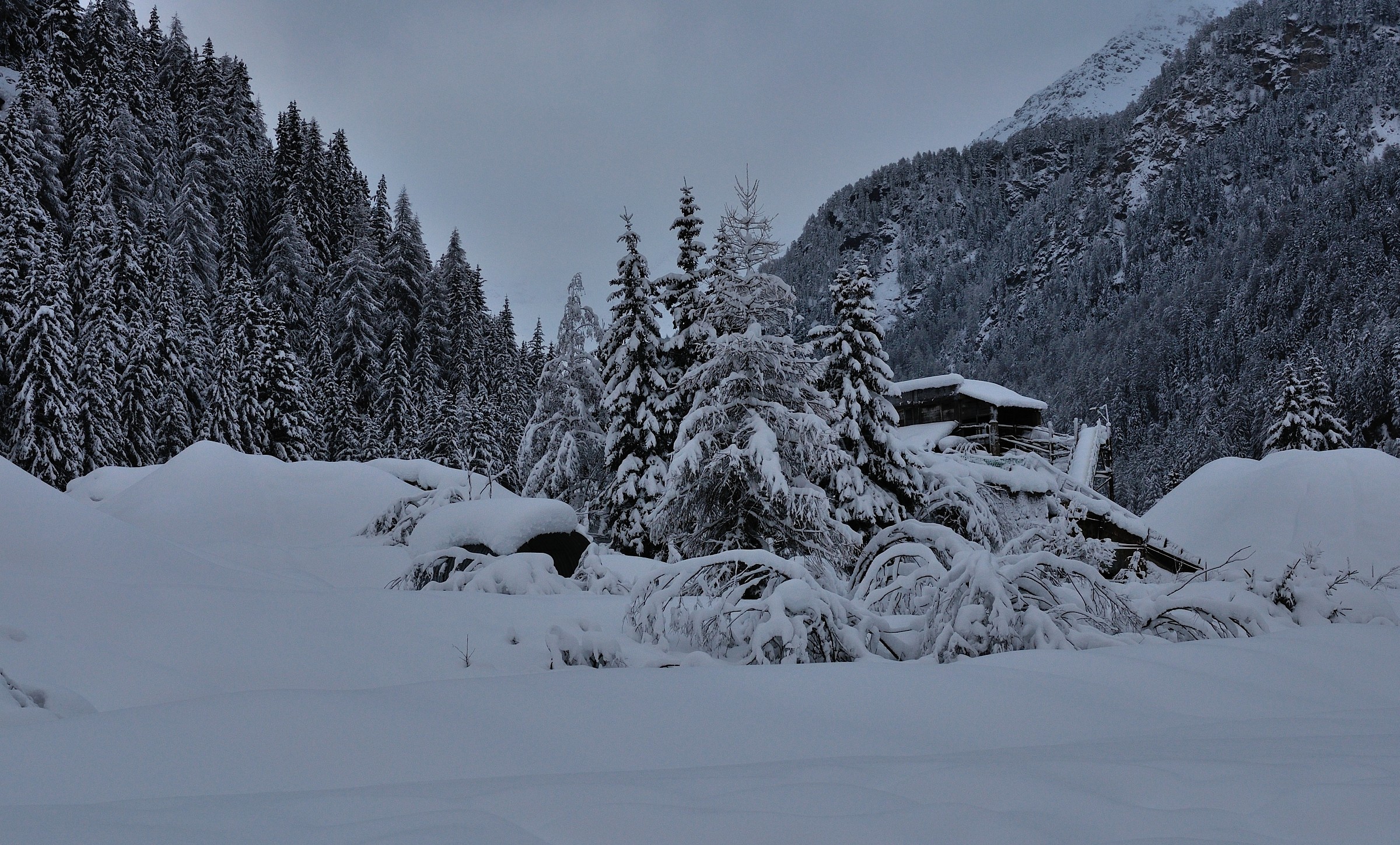 Paesaggio invernale 2
