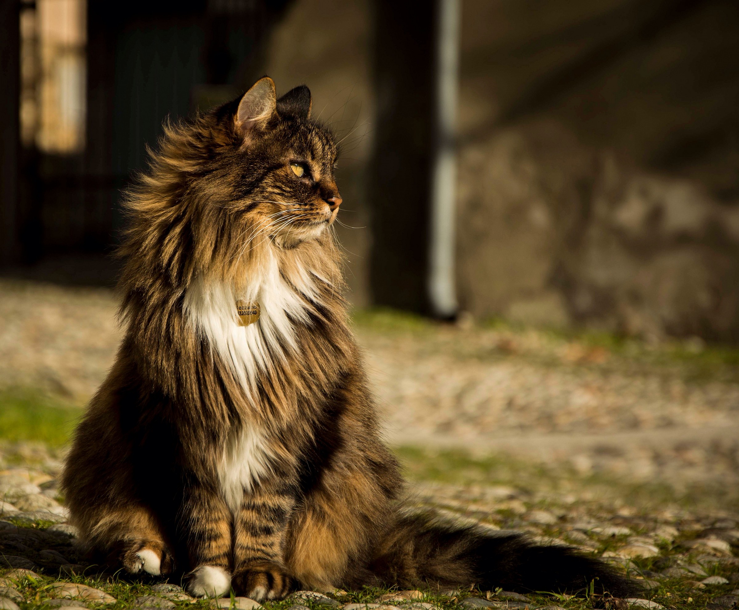 Bellezza naturale...e selvatica...