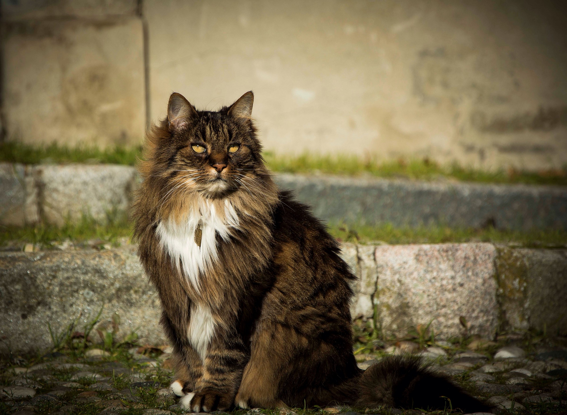 Bellezza naturale...e selvatica...part 2