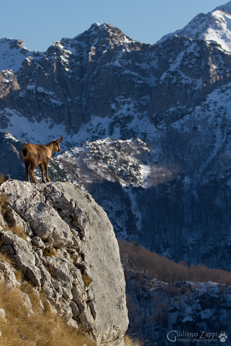Ammirando la vallata.