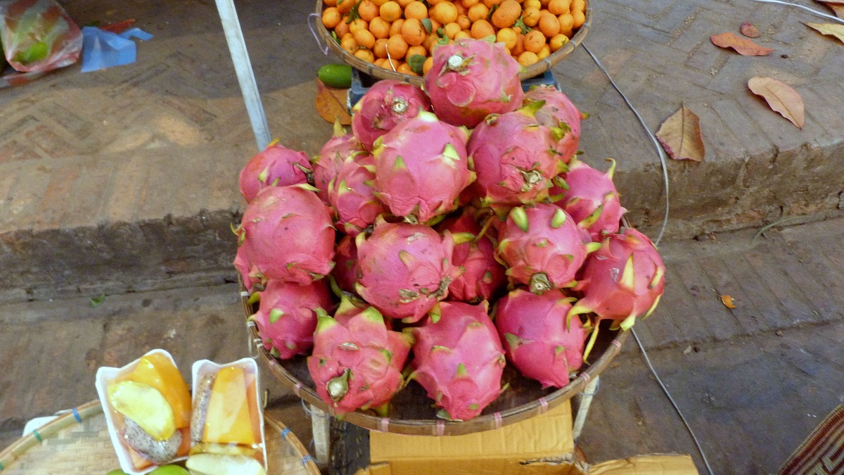 Dragon Fruit
