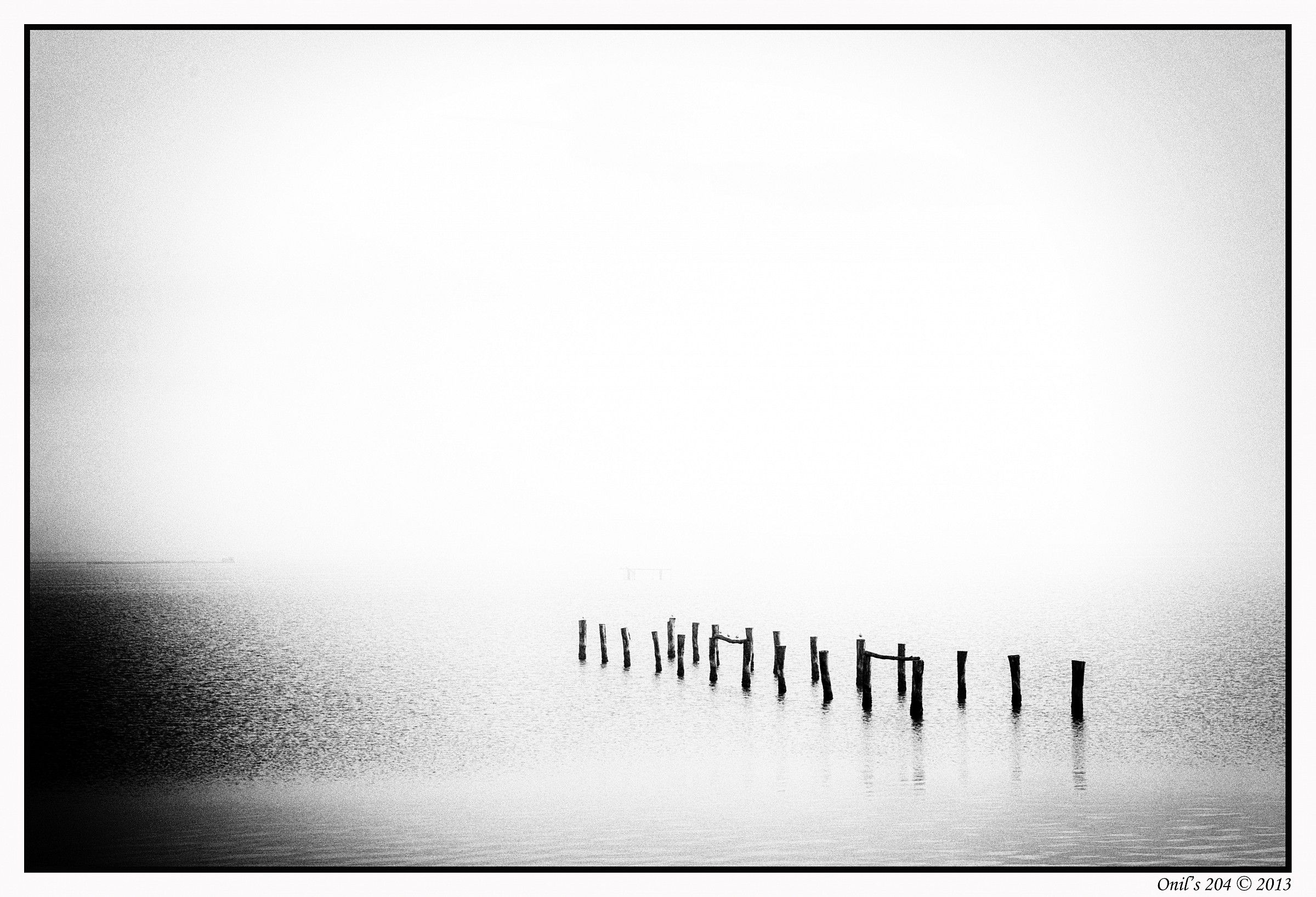 Strada Provinciale 38 - Polesine