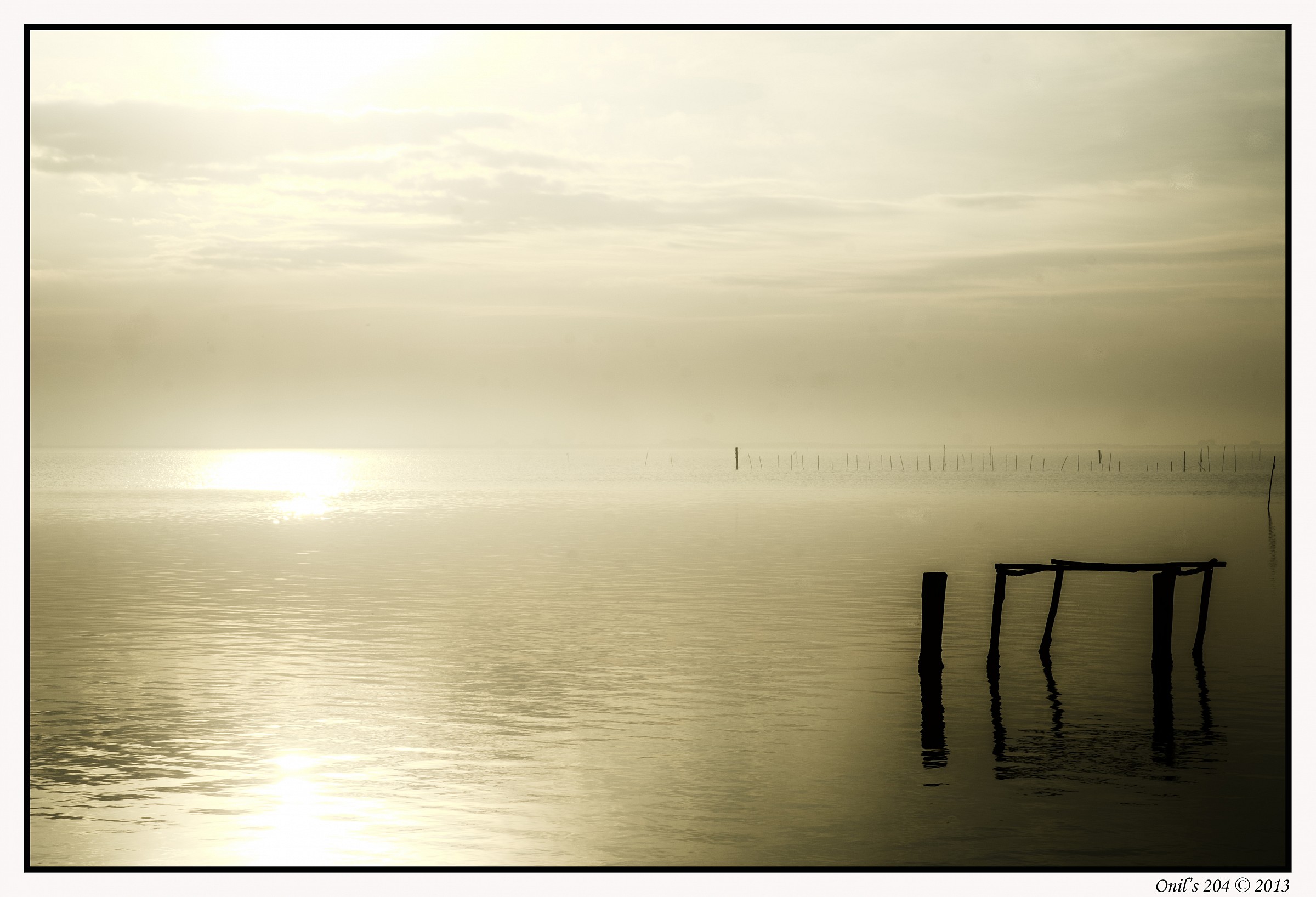 Strada Provinciale 38 - Polesine