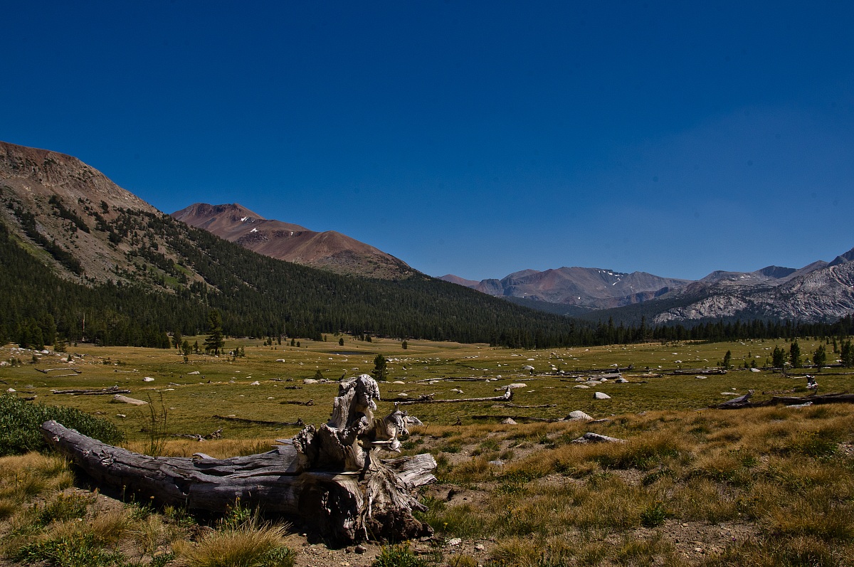 Tioga Pass
