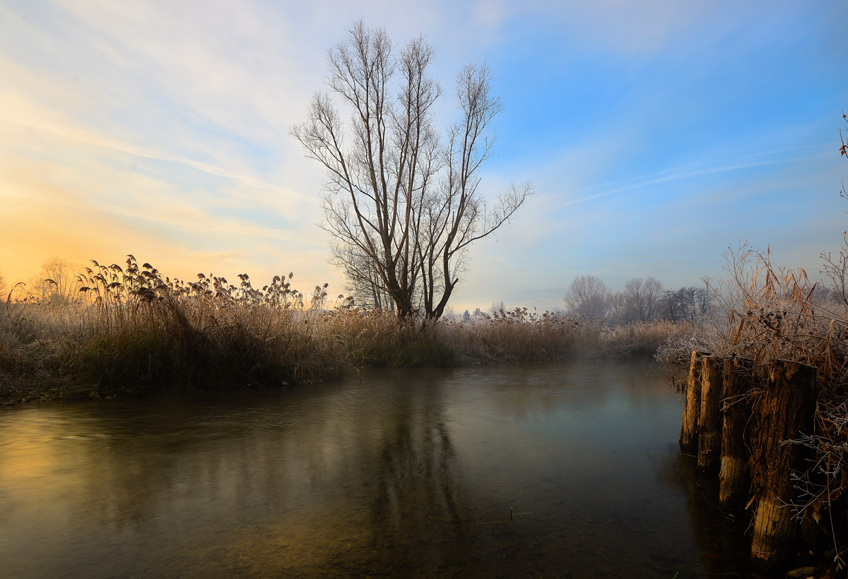 The colors of dawn on the river Mincio