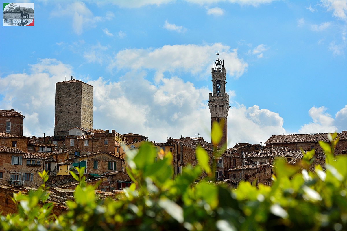 Siena