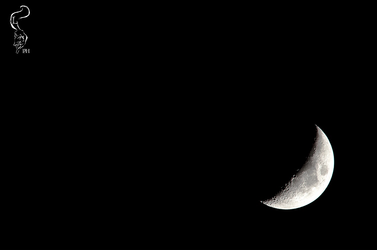 The dark side of the moon