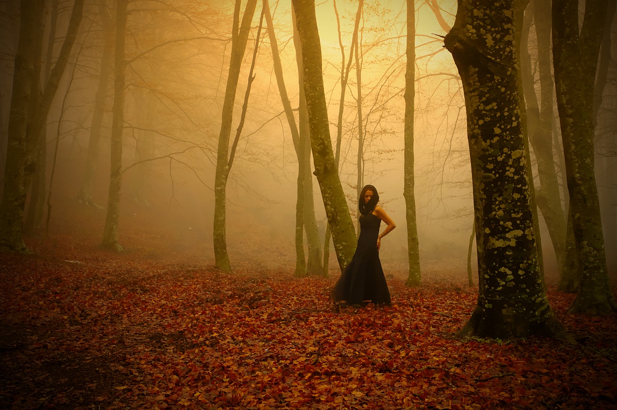 Barefoot in the Forest of Knowledge of the Self ...