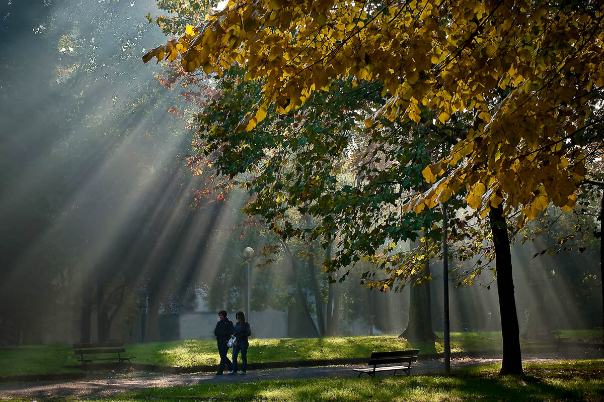 Passeggiata d'autunno