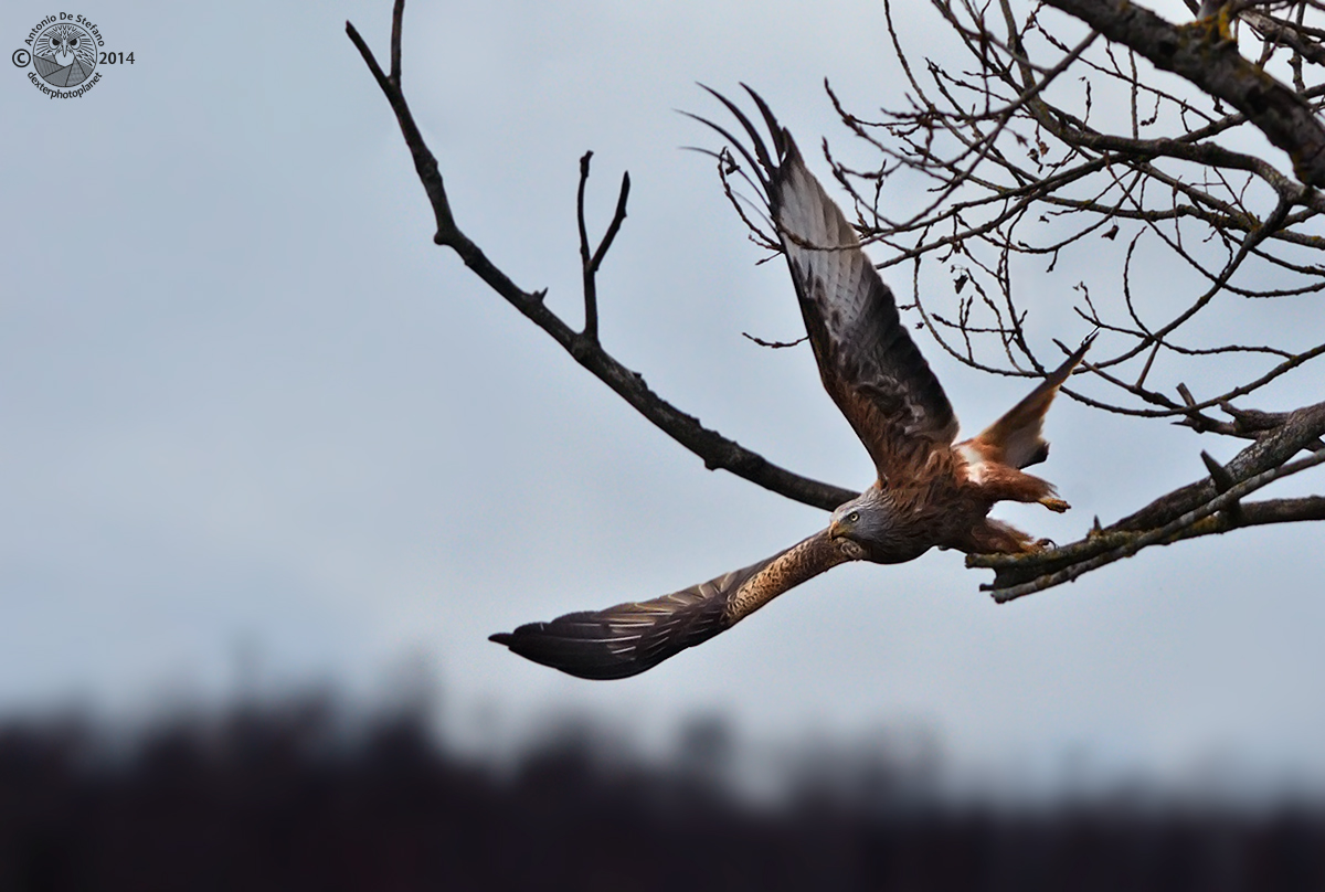 Power is nothing without control