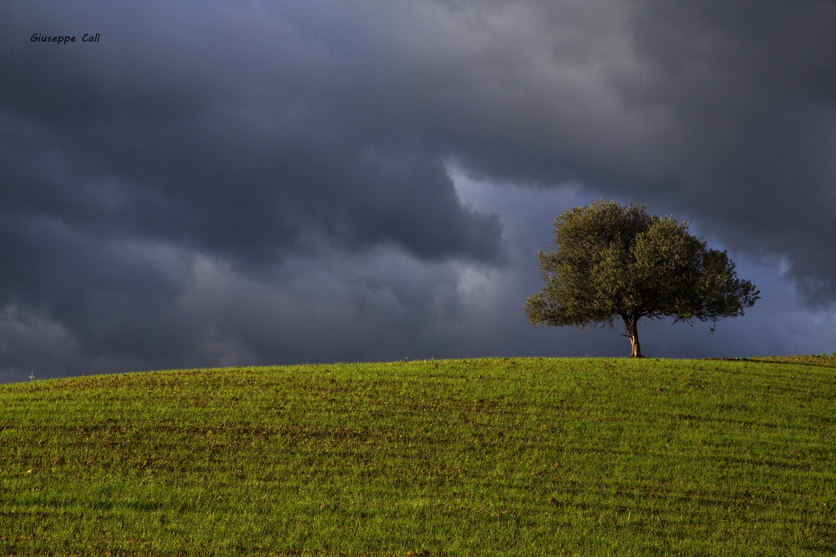 la campagna siciliana
