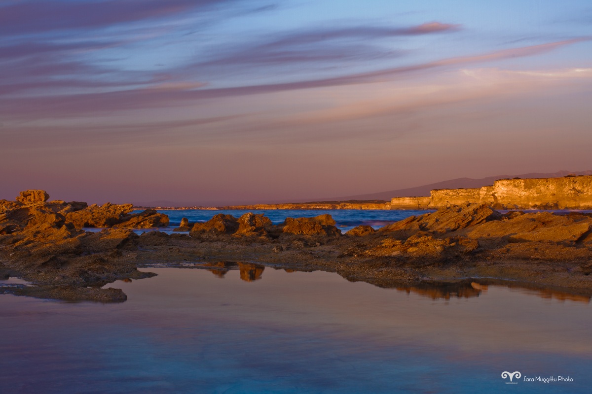 Riot of colors Mari Ermi