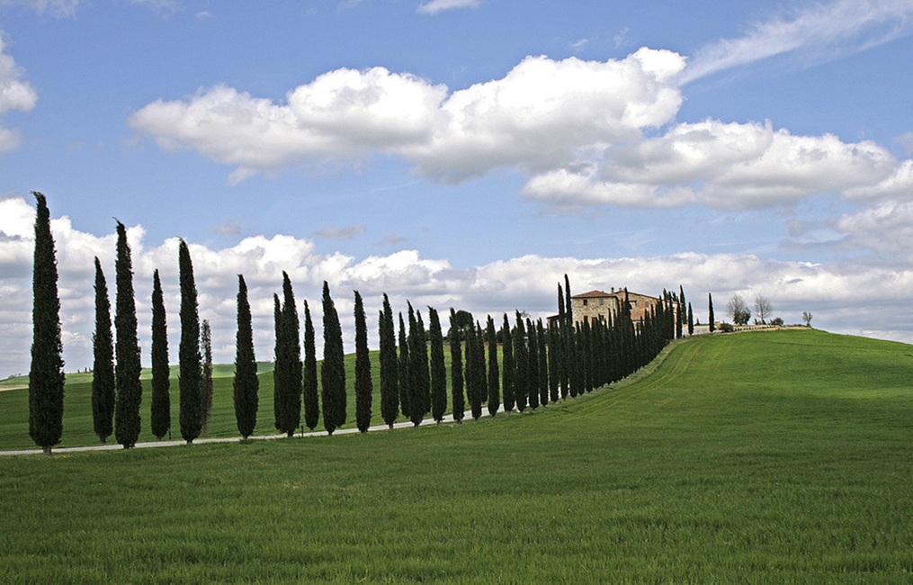 Val d'Orcia