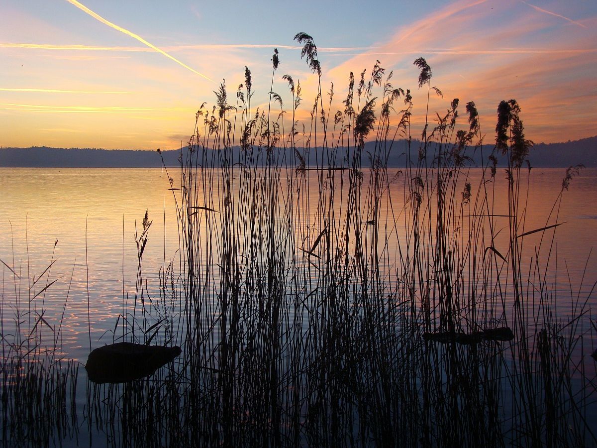 the silence of the reed