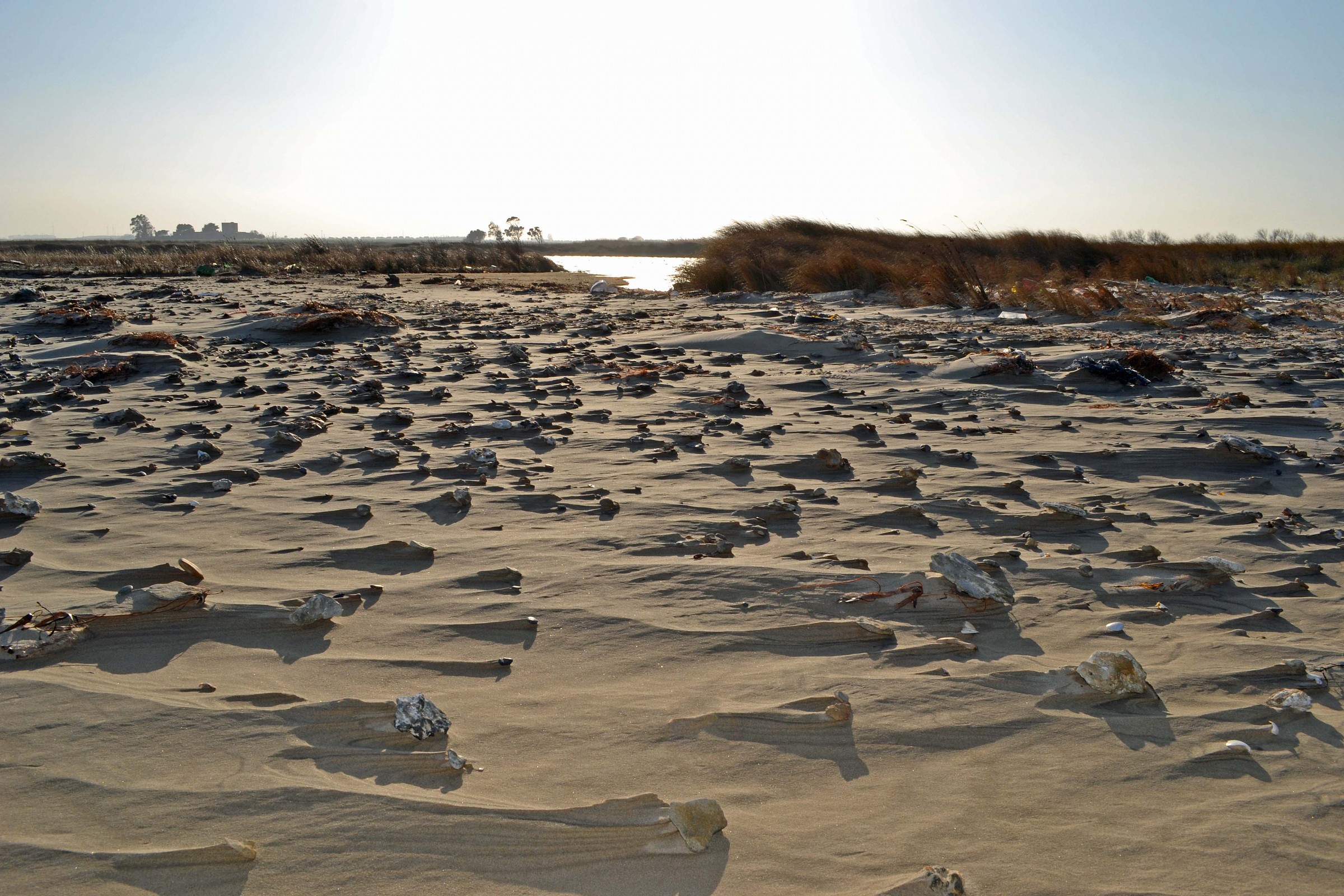 la spiaggia modellata dal vento