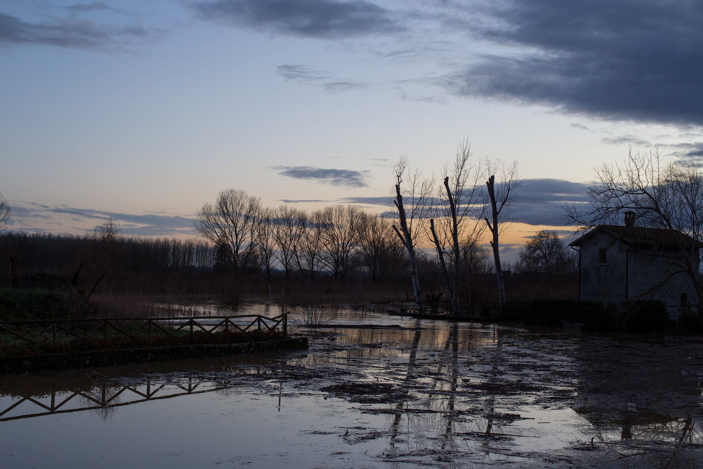 Marsh Submerged