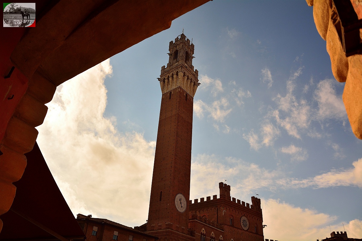 Siena Piazza del Campo