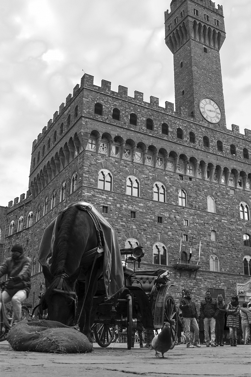 Piazza della Signoria