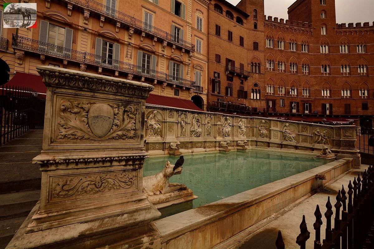 Siena Piazza del Campo