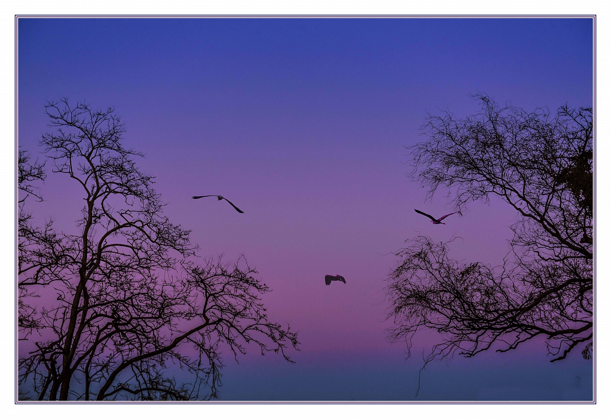 Dalla Romea - Tramonto