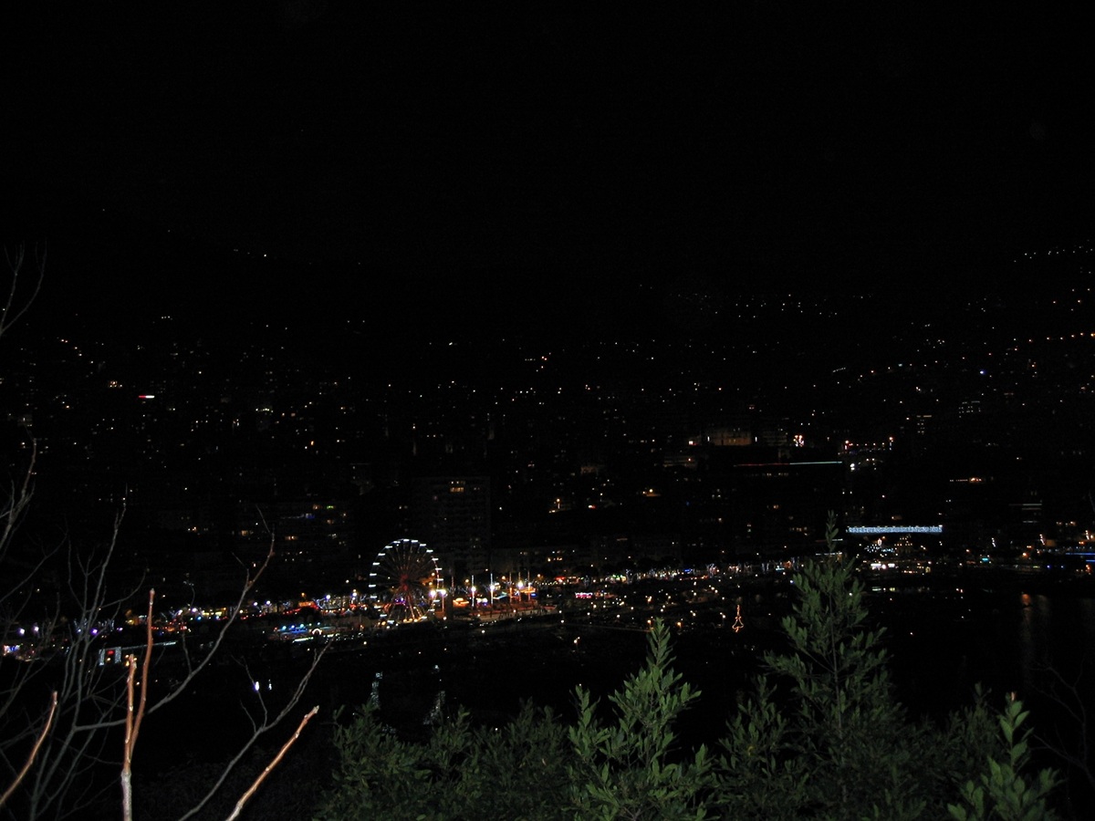 Montecarlo night