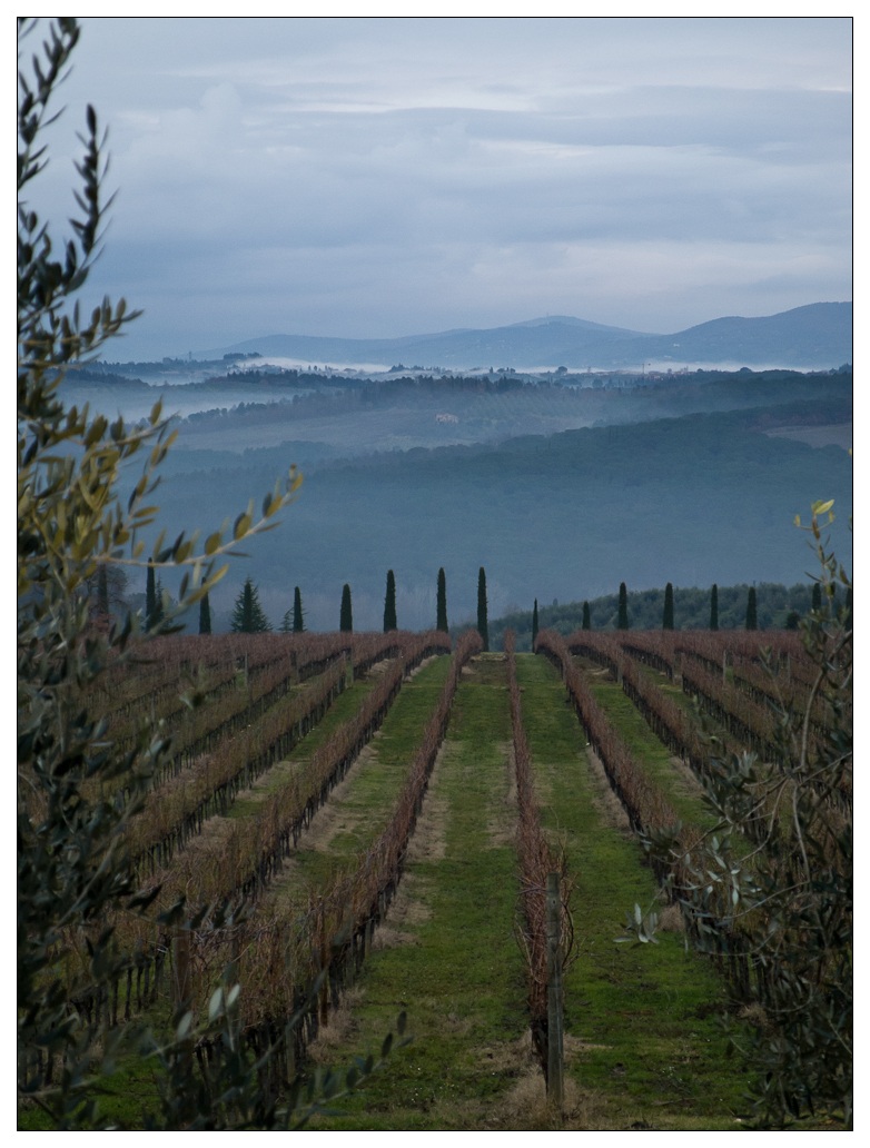 Il Chianti in Inverno