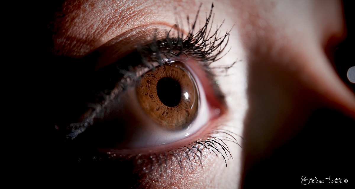 Brown eye "shoot two"