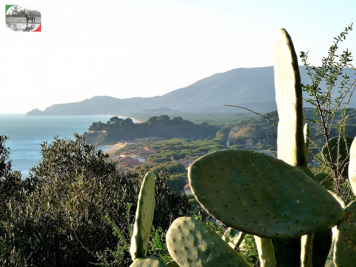 Castiglione della Pescaia