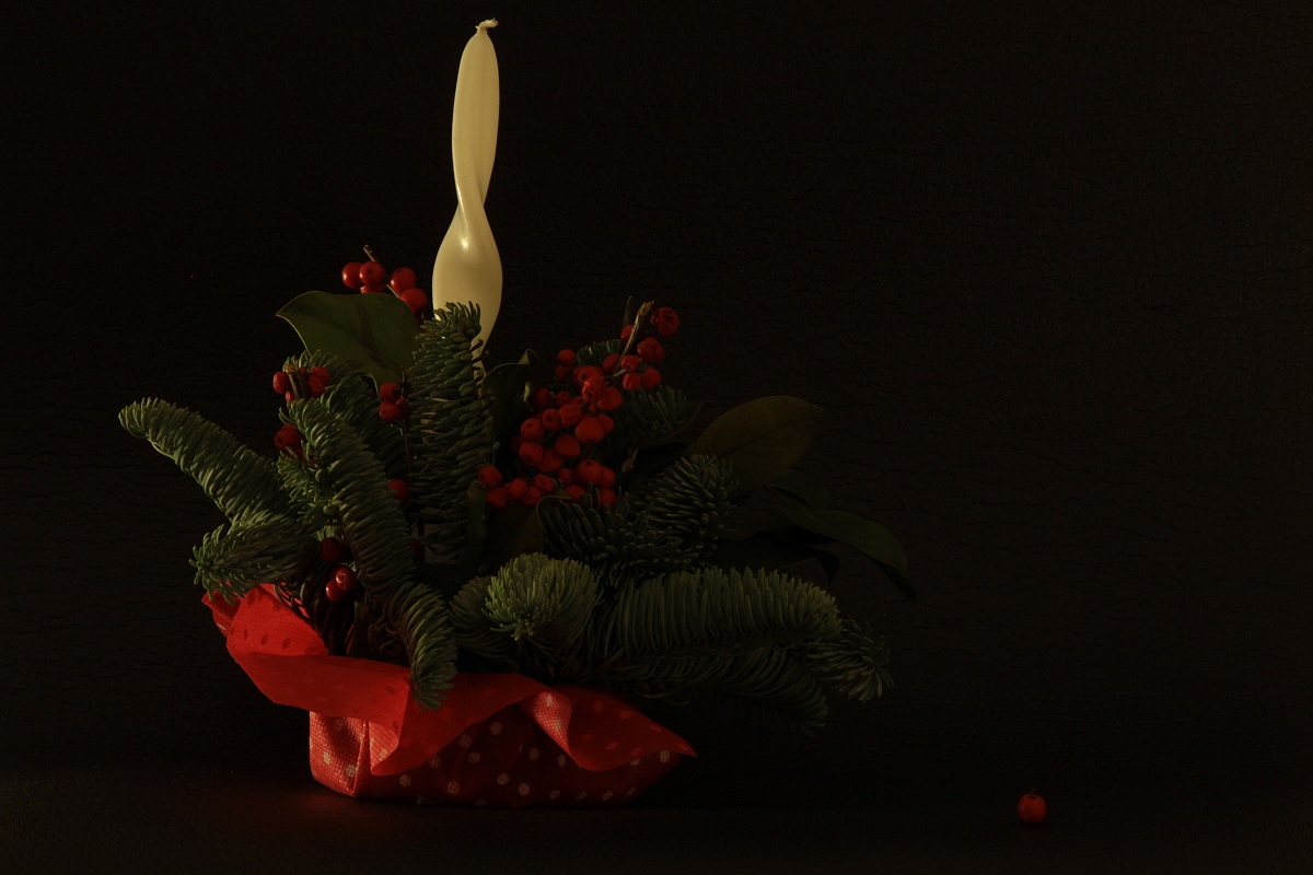 1. my first still life