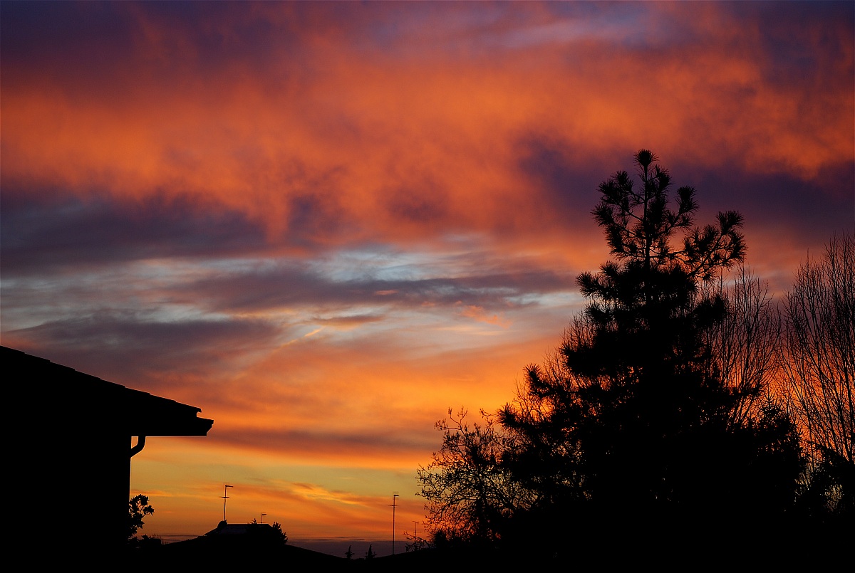 esplosione di colori
