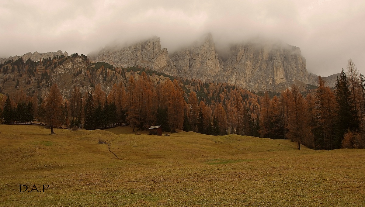 Shortly before snowing ................