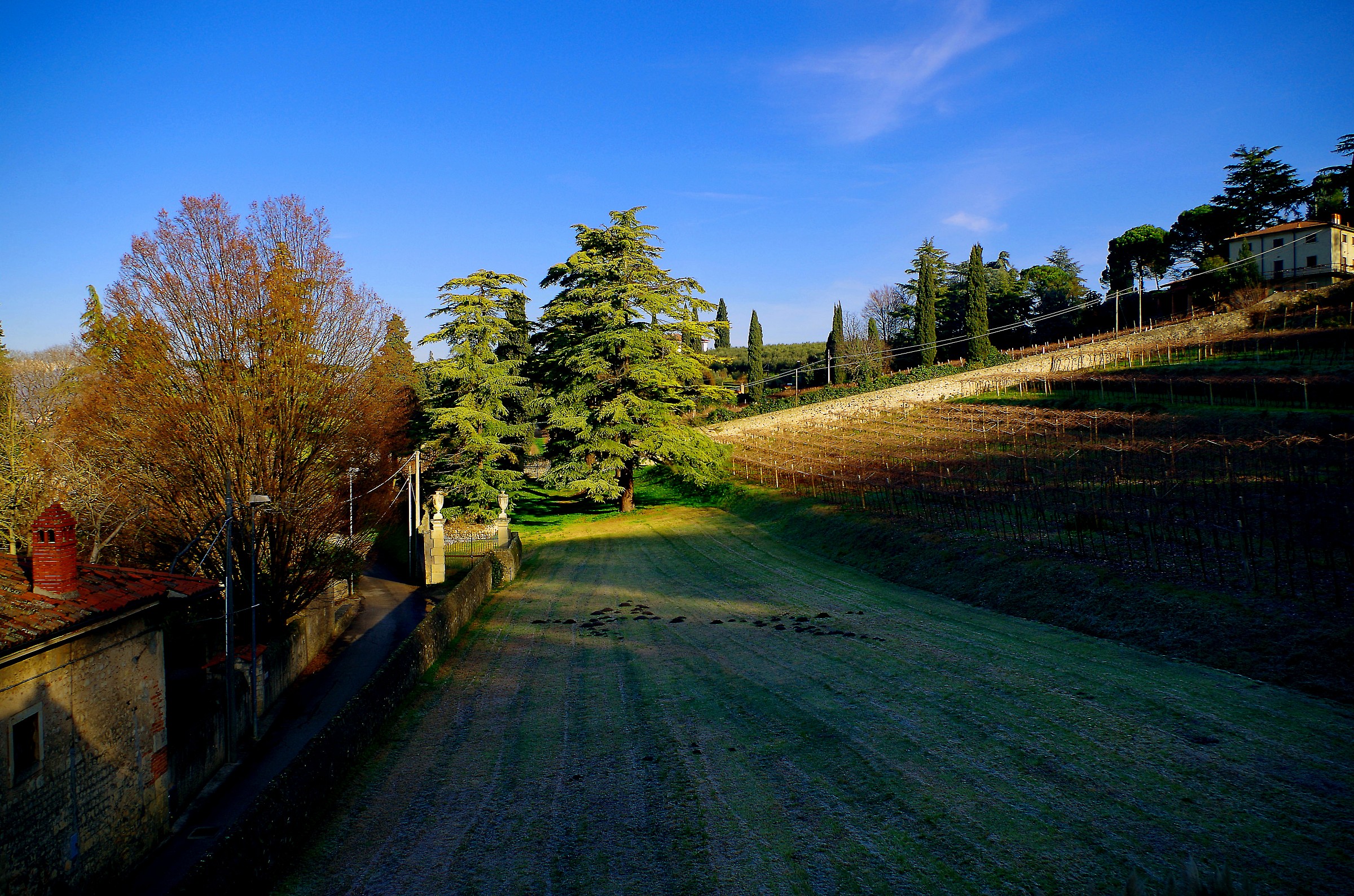 Colognola to the hills (vr)