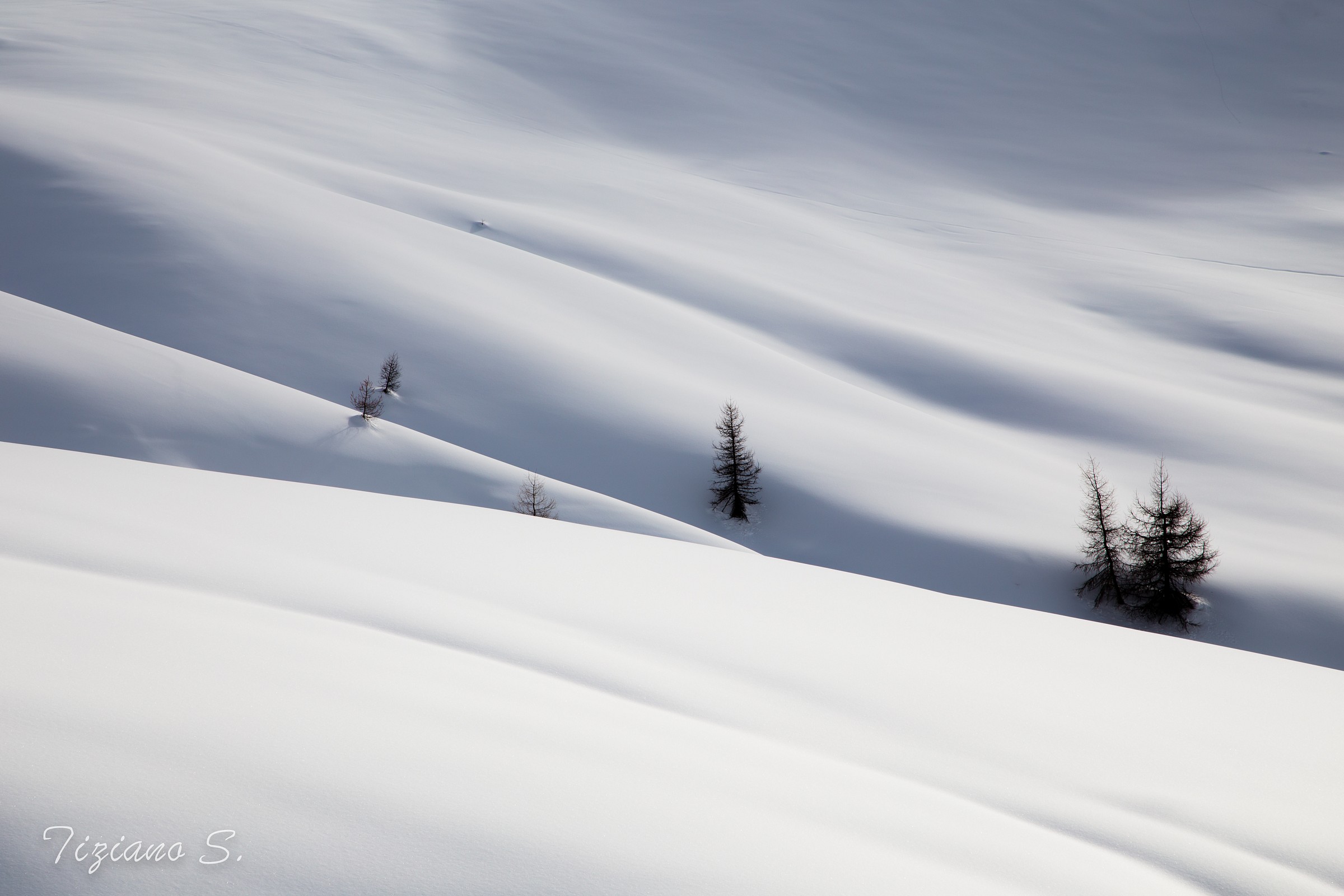 Snow Waves #neve