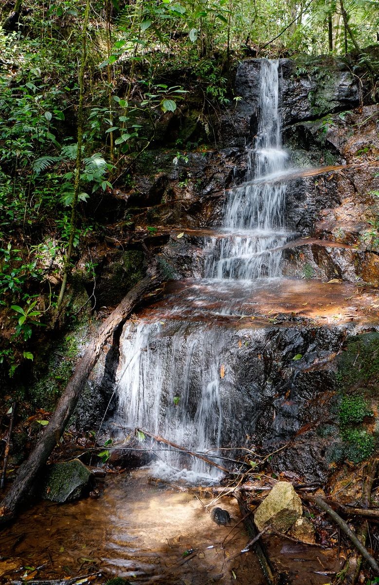 Cascata al Parque National La Tigra - Honduras