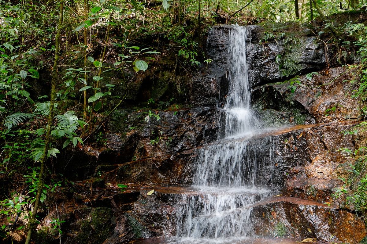 Cascata al Parque National La Tigra - Honduras \2
