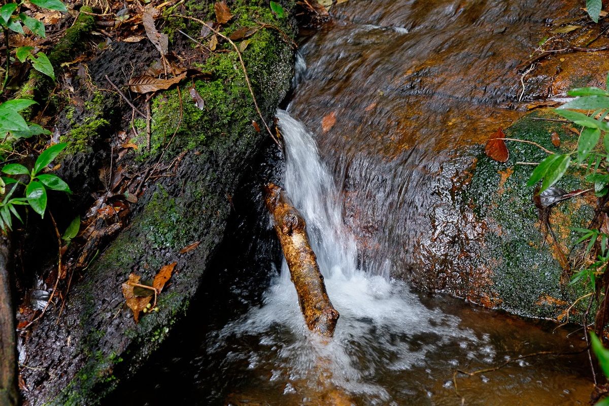 Acqua - Parque National La Tigra - Honduras