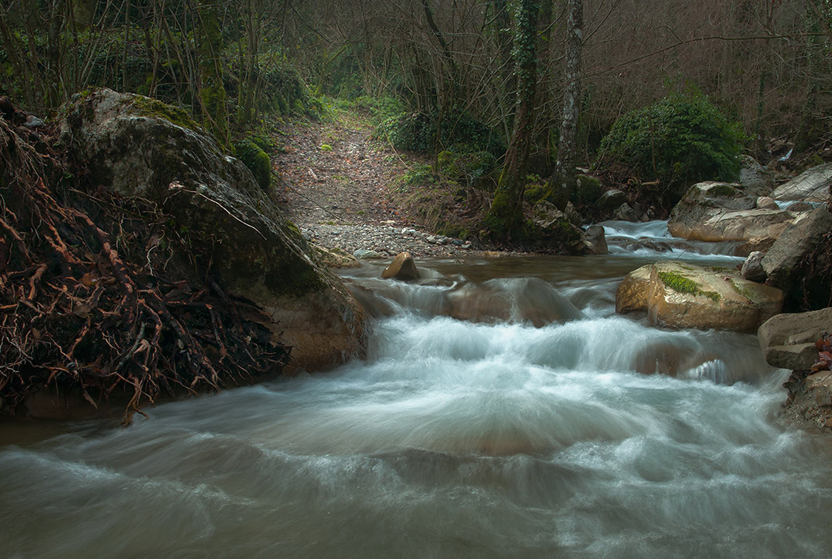 The fisherman moss 2.
